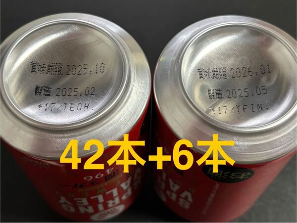 【新品】スプリングバレー 豊潤ラガー 350ml48本