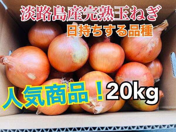 あま〜くて美味しい淡路島産完熟玉ねぎ少し訳あり品20kg