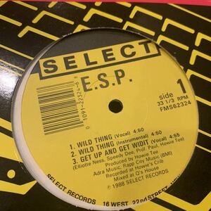 E.S.P. - Wild Thing / We Got It 中古レコード