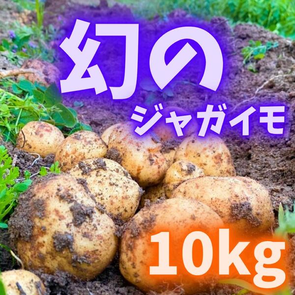 幻の じゃがいも ジャガイモ 02