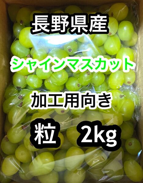 長野県産 シャインマスカット 訳あり加工用出品 2kg