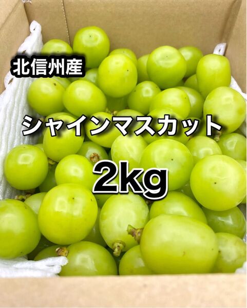 長野県産 シャインマスカット 訳あり 粒売り 2kg