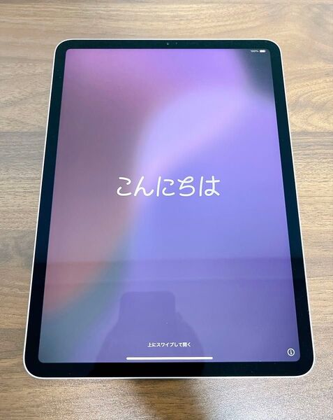 iPad Pro 11インチ 第1世代 シルバー Wi-Fiモデル 64GB A1980 初期化済み