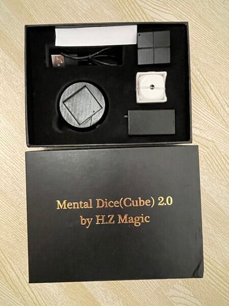 未使用 メンタルキューブ 手品 マジック