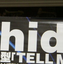 hide - TELL ME / hide BEST /ポスター!!_画像2