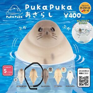 pukapukaあざらし 1種