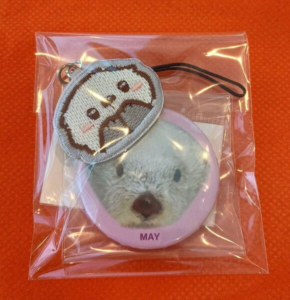 【数量限定】 鳥羽水族館 メイちゃん 缶バッジ&キーホルダー 新品