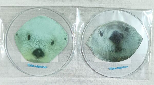 鳥羽水族館 メイキラ コースター 2枚セット 新品
