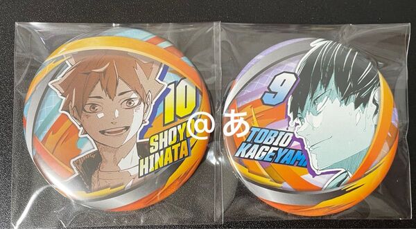 ハイキュー ファンパーク コレクション缶バッジ 日向翔陽 影山飛雄