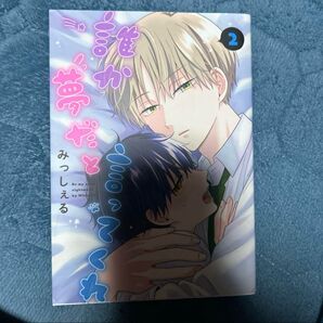 誰か夢だと言ってくれ 2巻 みっしぇる