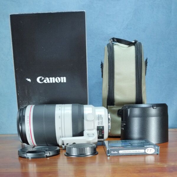 canon キヤノン EF 100−400mm f4.5-5.6L IS Ⅱ USM