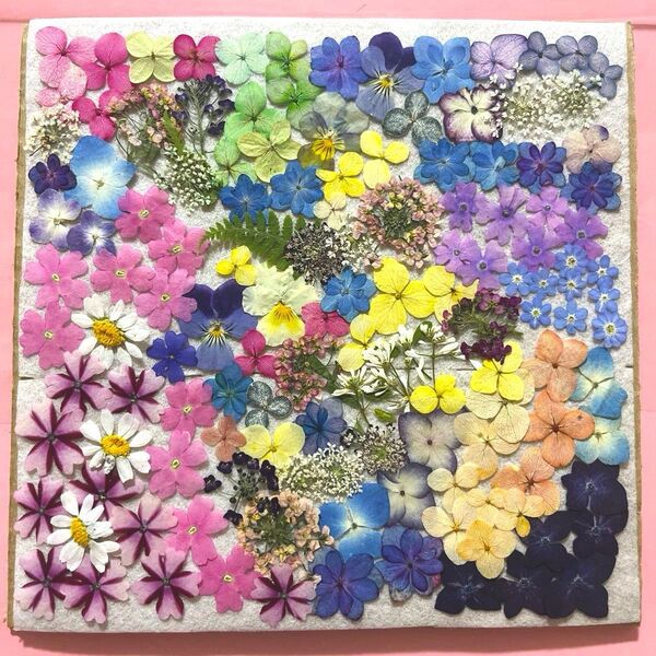 押し花素材 小さく使いやすいサイズ ③