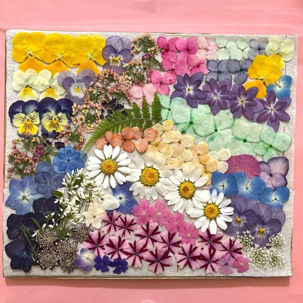 押し花素材 小花mix No.7