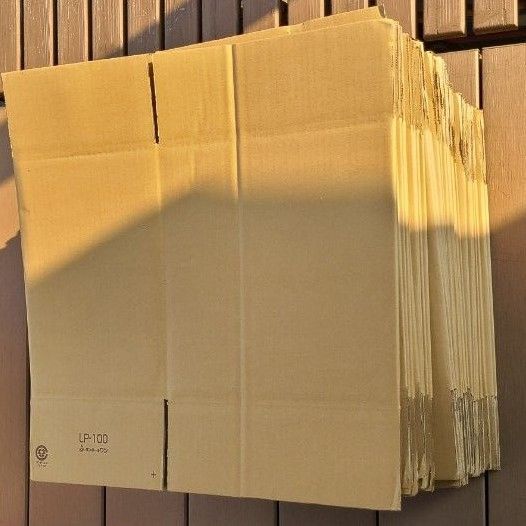 ダンボール LP-100 40枚
