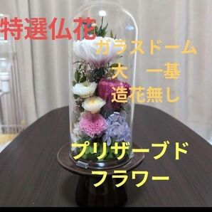 特選仏花 ガラスドーム 大 一基 造花無し プリザーブドフラワー