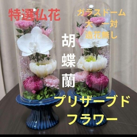 特選仏花 大 一対 ガラスドーム 胡蝶蘭 プリザーブドフラワー 造花無し