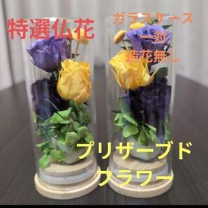 特選仏花 造花無し 一対 ガラスケース入り ミニサイズ プリザーブドフラワー