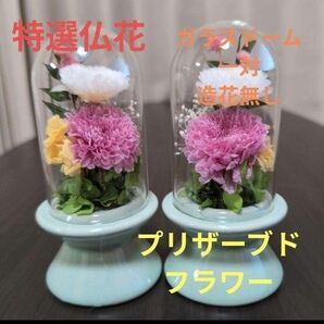 特選仏花 造花無し 一対 ガラスドーム入り プリザーブドフラワー