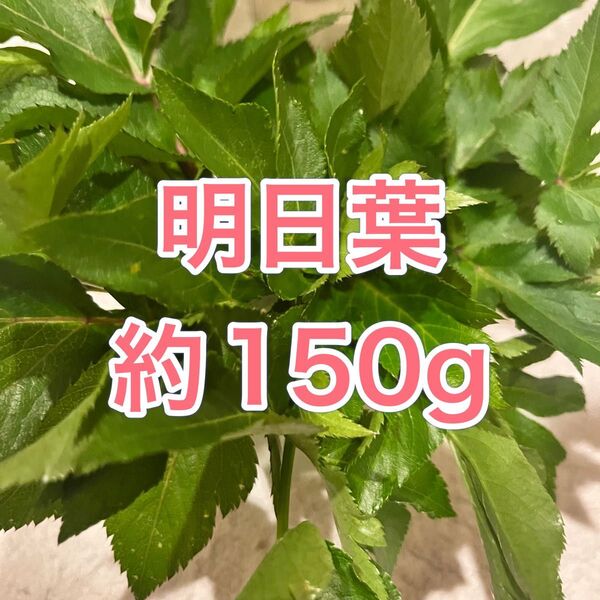 農薬不使用明日葉約150g 外葉&準新芽東京都産アシタバ あしたば健康野菜うさぎ