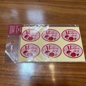 母の日 ギフトシール ハッピーカーネ 24片入り