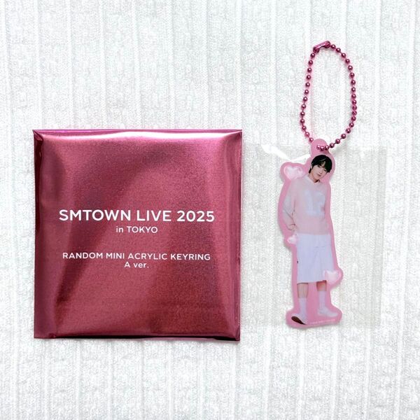 SMTOWN LIVE 2025 in TOKYO POP-UP アクリルキーホルダー アクキー NCTWISH サクヤ