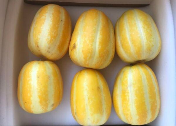 マクワウリ 約2kg 徳島県産 ヤマト60サイズ発送
