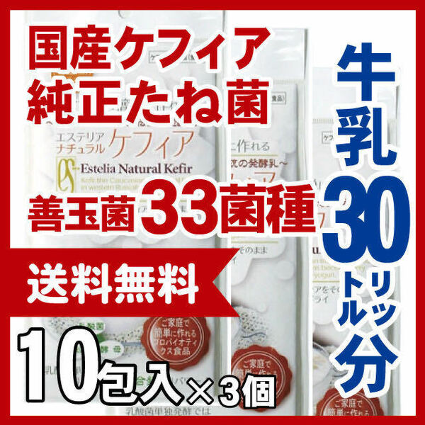 スーパーヨーグルト　３０リットル分　たね菌【メ直】2301