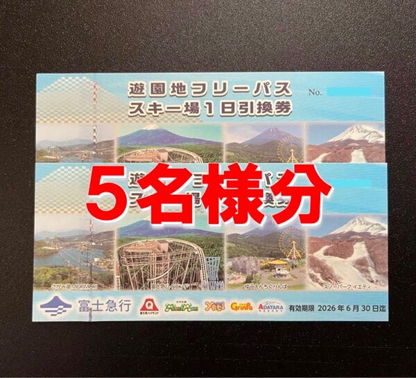富士急ハイランドフリーパス5名様分