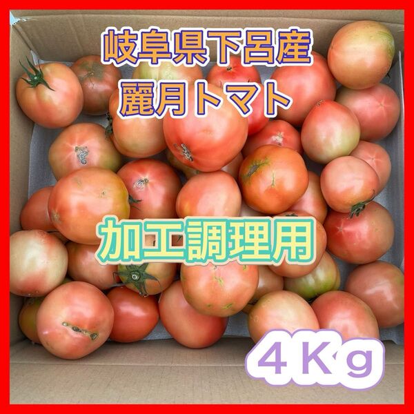 【訳あり品】農家直送 大玉トマト 麗月 4Kg 加工用 加熱用 飛騨トマト