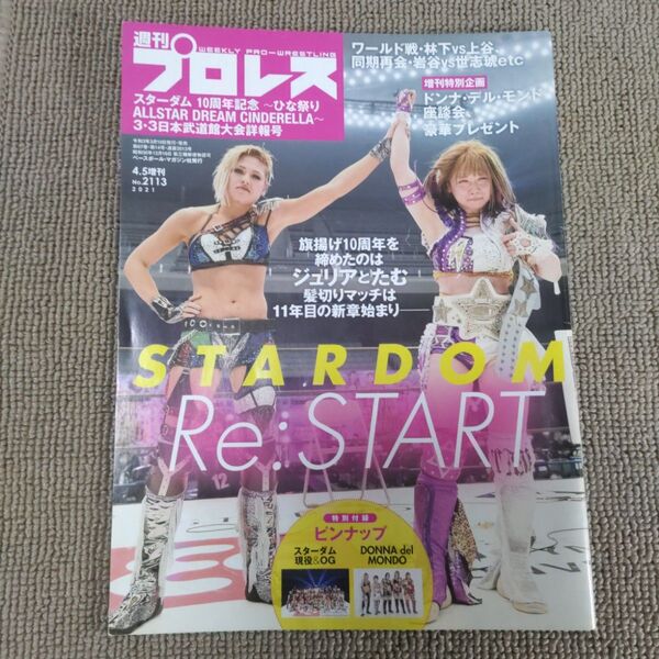 スターダム3.3武道館10周年記念大会決算詳報号2021年4月号
