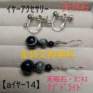 【aイヤー14】イヤーアクセサリー(天然石)黒オニキス天眼