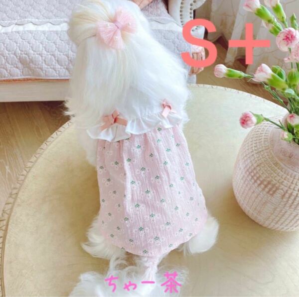 お襟のフリルとリボンがかわいい　ピンク　S＋サイズ　犬服　猫服　ペット服　犬夏服