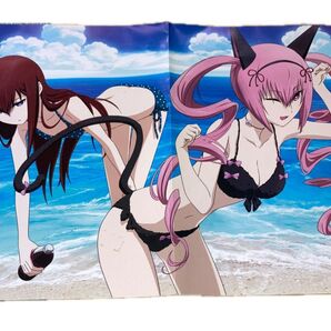 steins;gate ポスター シュタインズゲート