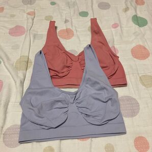 コンフォーティスブラM 2カラー2枚セット