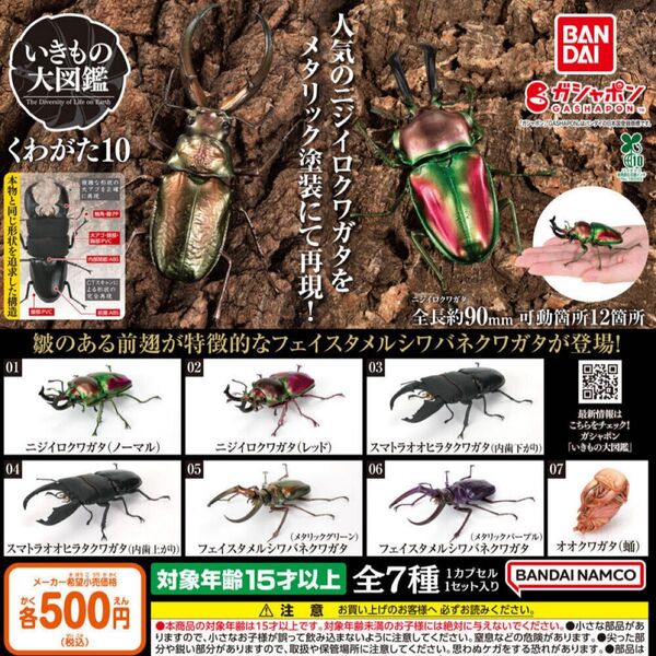 いきもの大図鑑 くわがた10 ガシャポン