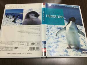 ◆痛み多◆PENGUINS DVD 国内正規品 セル版 パイオニア ハイビジョンビジュアルシリーズ ペンギン モニターかんたんチェックメニュー