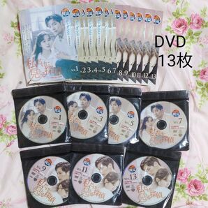 私だけに見える探偵 レンタル落ちDVD
