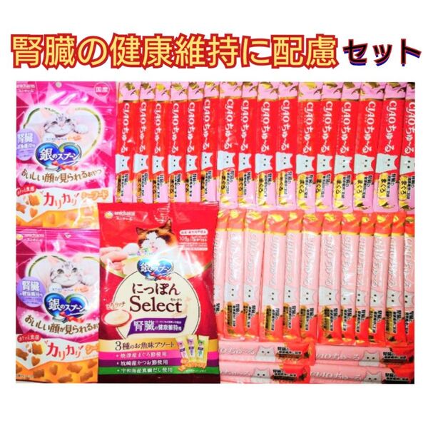 腎臓の健康維持 キャットフード 猫おやつ ちゅーる 三ツ星グルメ 銀のスプーン とろリッチ 猫腎臓 おいしい顔が見られるおやつ