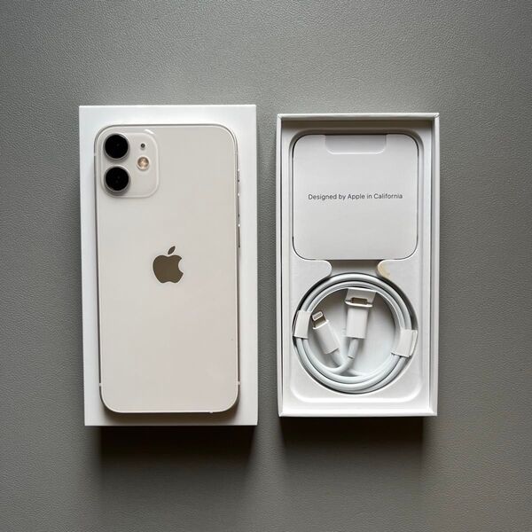 米国版 iPhone12mini 128GB SIMフリー