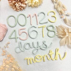 ウールレター 月齢フォト パステル