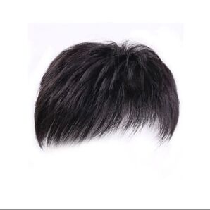 男性用 ツーブロック ウィッグ 黒 髪 韓国男子 コスプレ 医療用 かつら イメチェン 男性用部分ウィッグ
