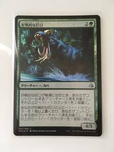 MTG　好戦的な巨口/Defiant Greatmaw　(AKH/アモンケット,日) 1枚(Foil)