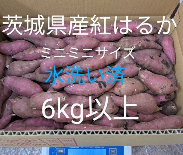 茨城県産さつま芋訳あり紅はるかミニミニサイズ