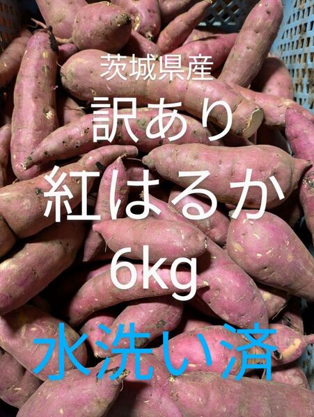 茨城県産さつま芋訳あり紅はるか