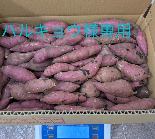 茨城県産さつま芋訳ありミニミニ紅はるか