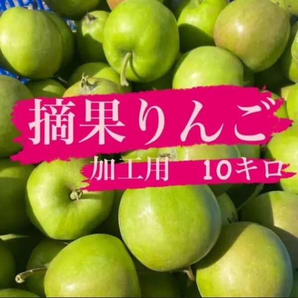 青森県産 りんご 摘果りんご 加工用約10キロ