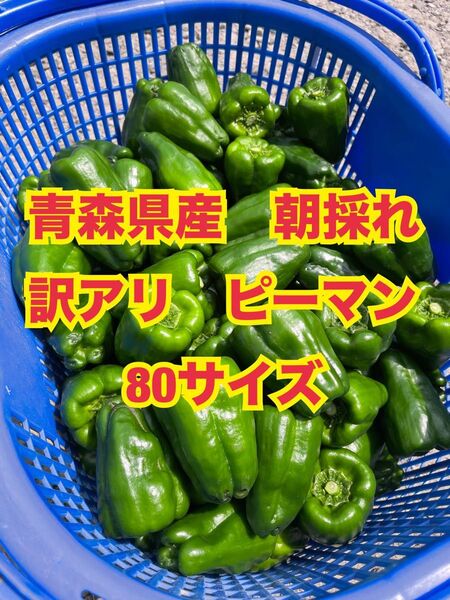 青森県産 朝採れピーマン 訳アリ 80サイズ