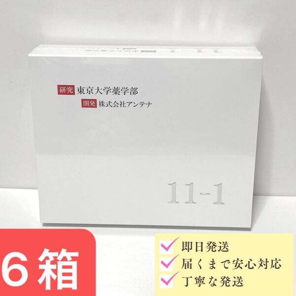 11-1 乳酸菌 いちいちのいち 180包 6箱 新品未開封 正規品