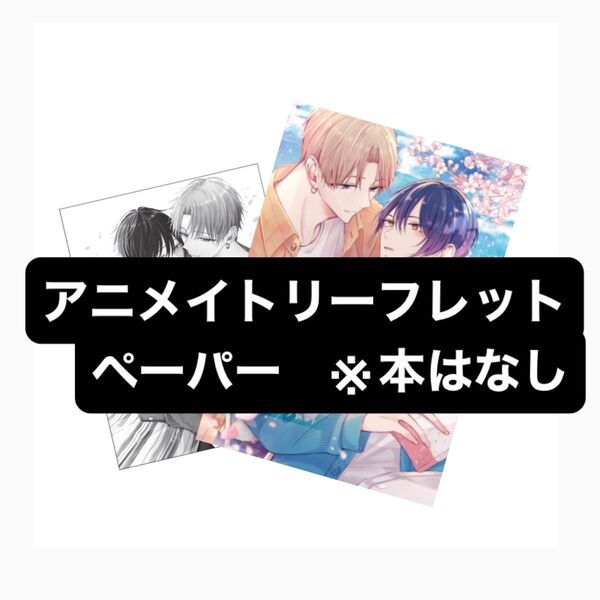 先輩のハジメテ俺にください アニメイト限定特典4Pリーフレット、ペーパー