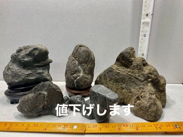 値下げします〜観賞石 水石 自然石 大サービス